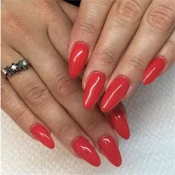 244 Mambo Beat- Rythm & Heat, CND Vinylux